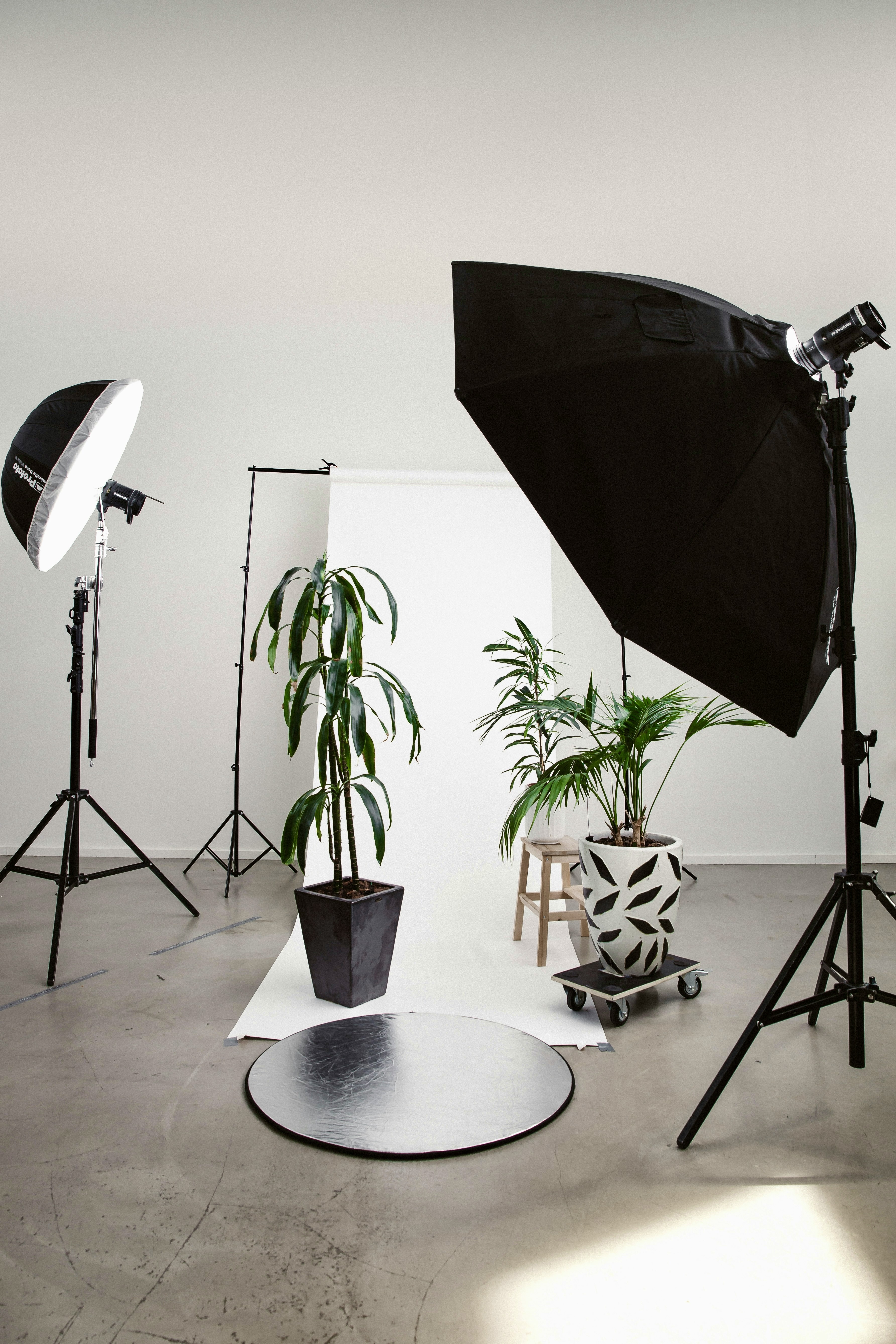 Photo session
